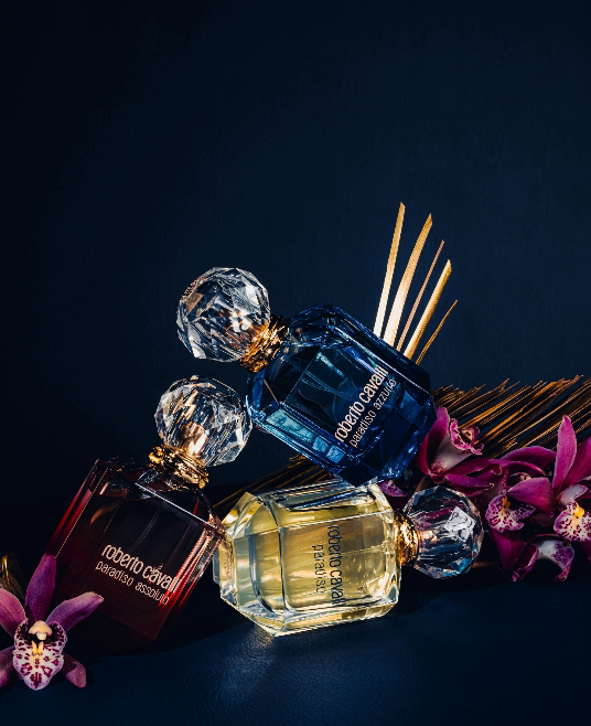 Bacher & Co - Article - Image 2