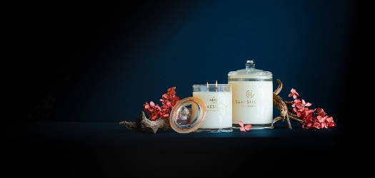 Bacher & Co - Home - Post Blog 2